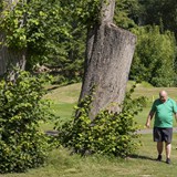 Golf Konopiště 2022 (189)